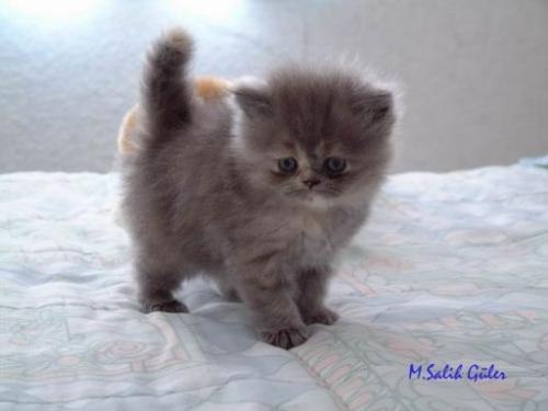 Кристина Шутеникова | Новая Усмань