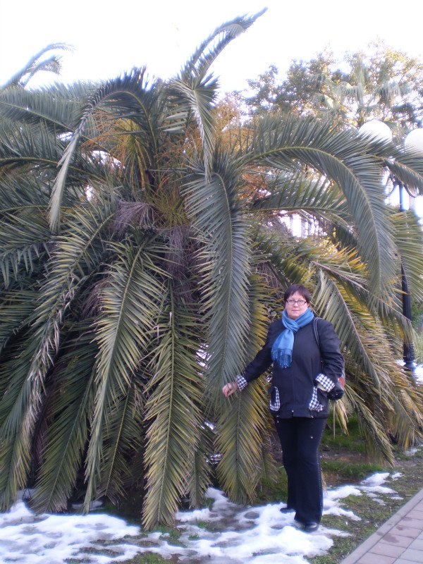 Светлана Шуваева | Геленджик