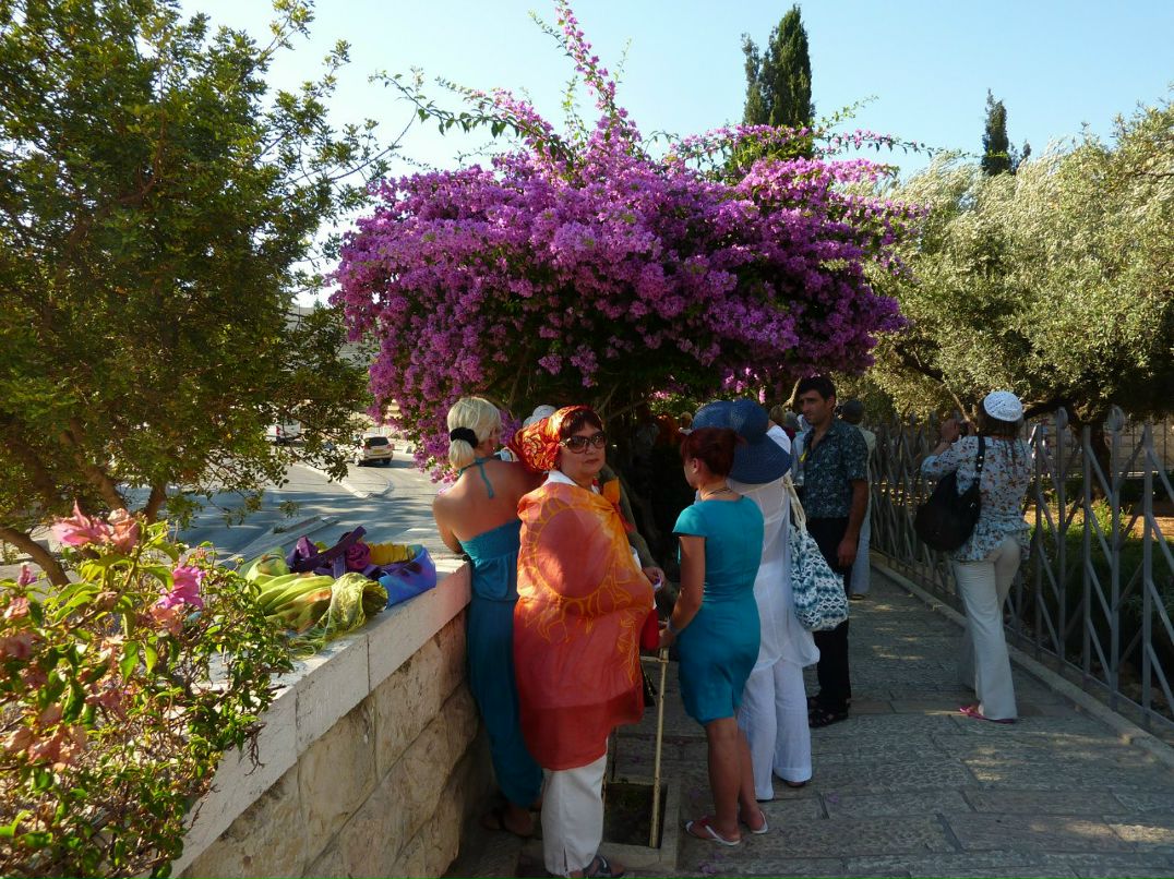 Анатолий Евсюков | Губкин