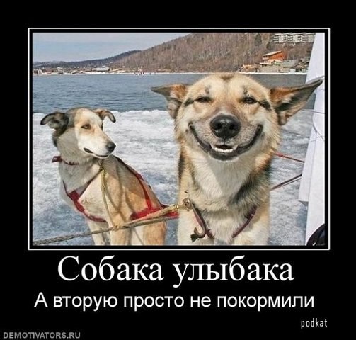 Лена Юрина | 