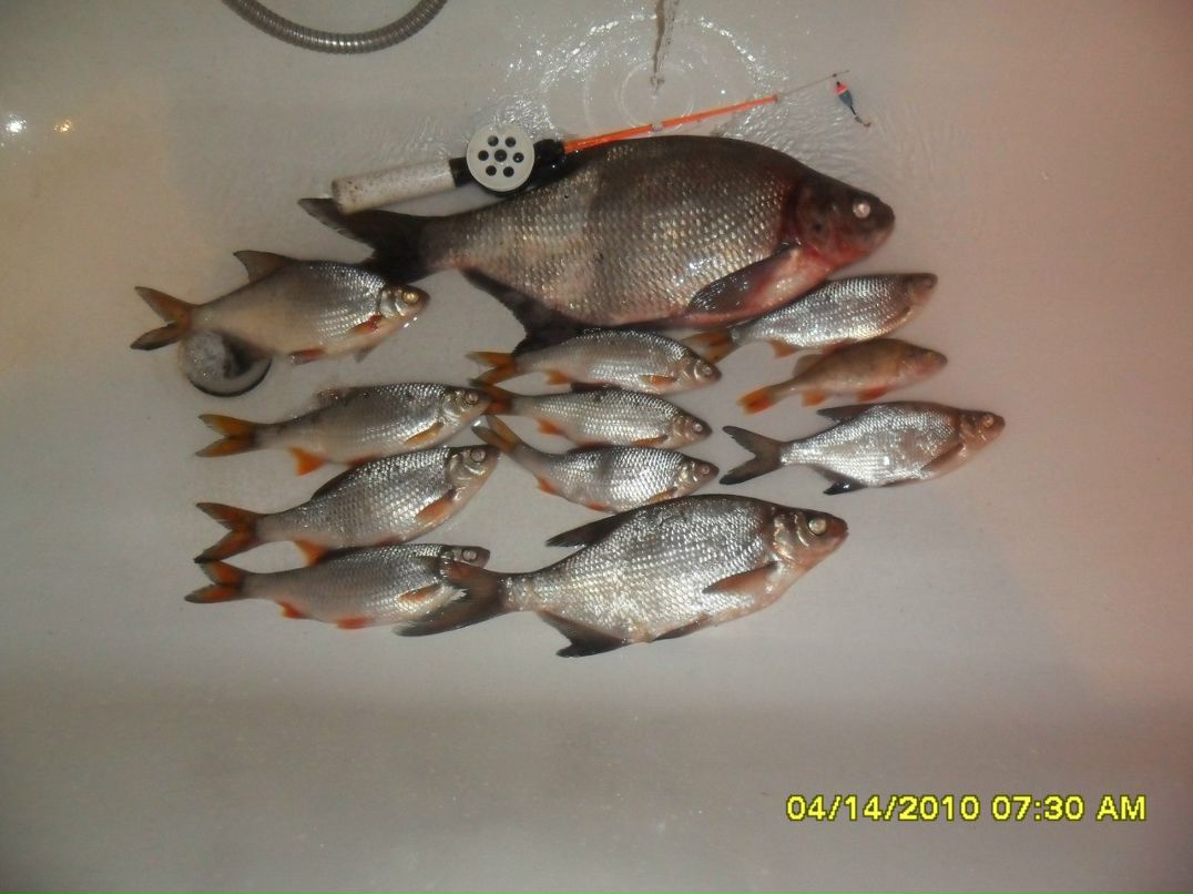 Паша Сенашко Pavlin | Минск