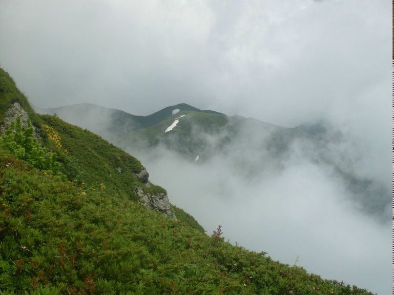Таня Сухарева | Заволжье