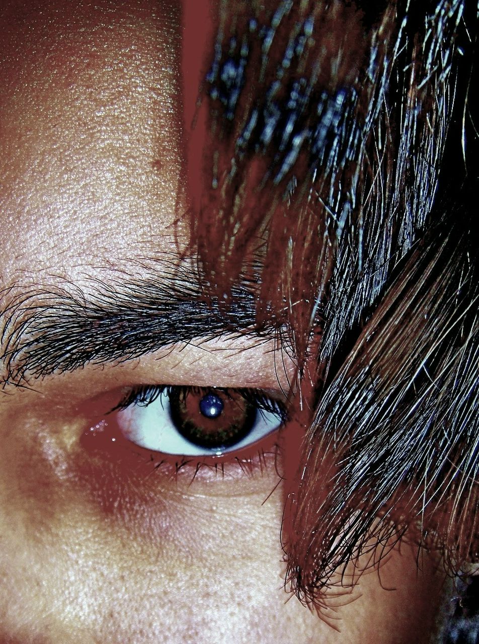 Дмитрий Волк (; Drunk Wolf ;) | Киев