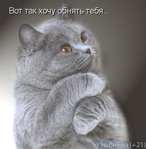 Сергей Крикунов | Петрозаводск