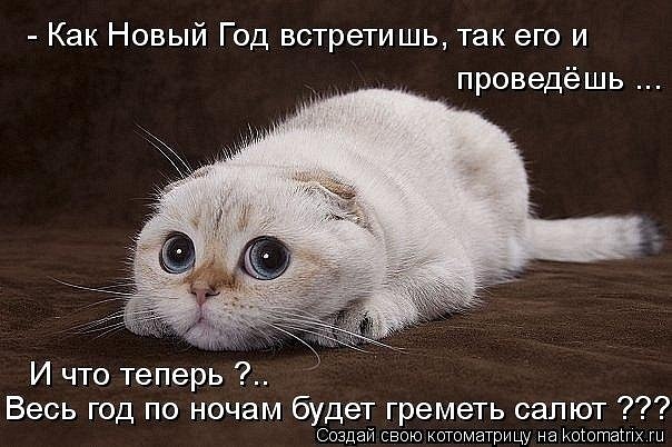 Вера Гришина | Москва