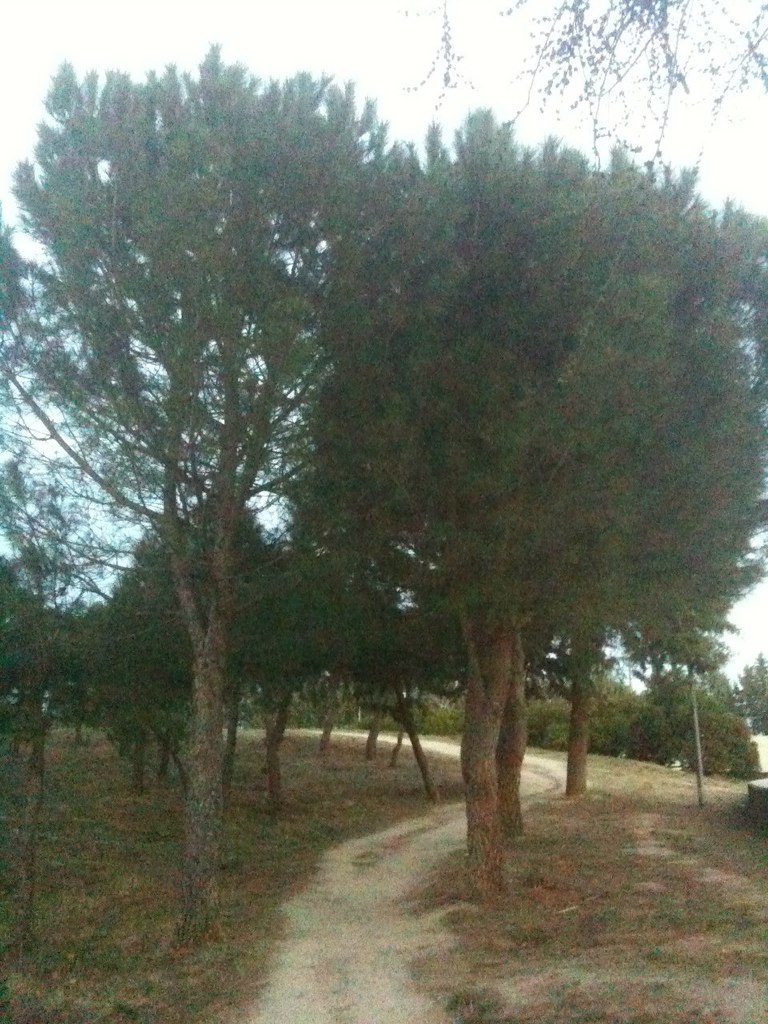 Юрий Савельчев (Розенгауз) אורי | Helsinki