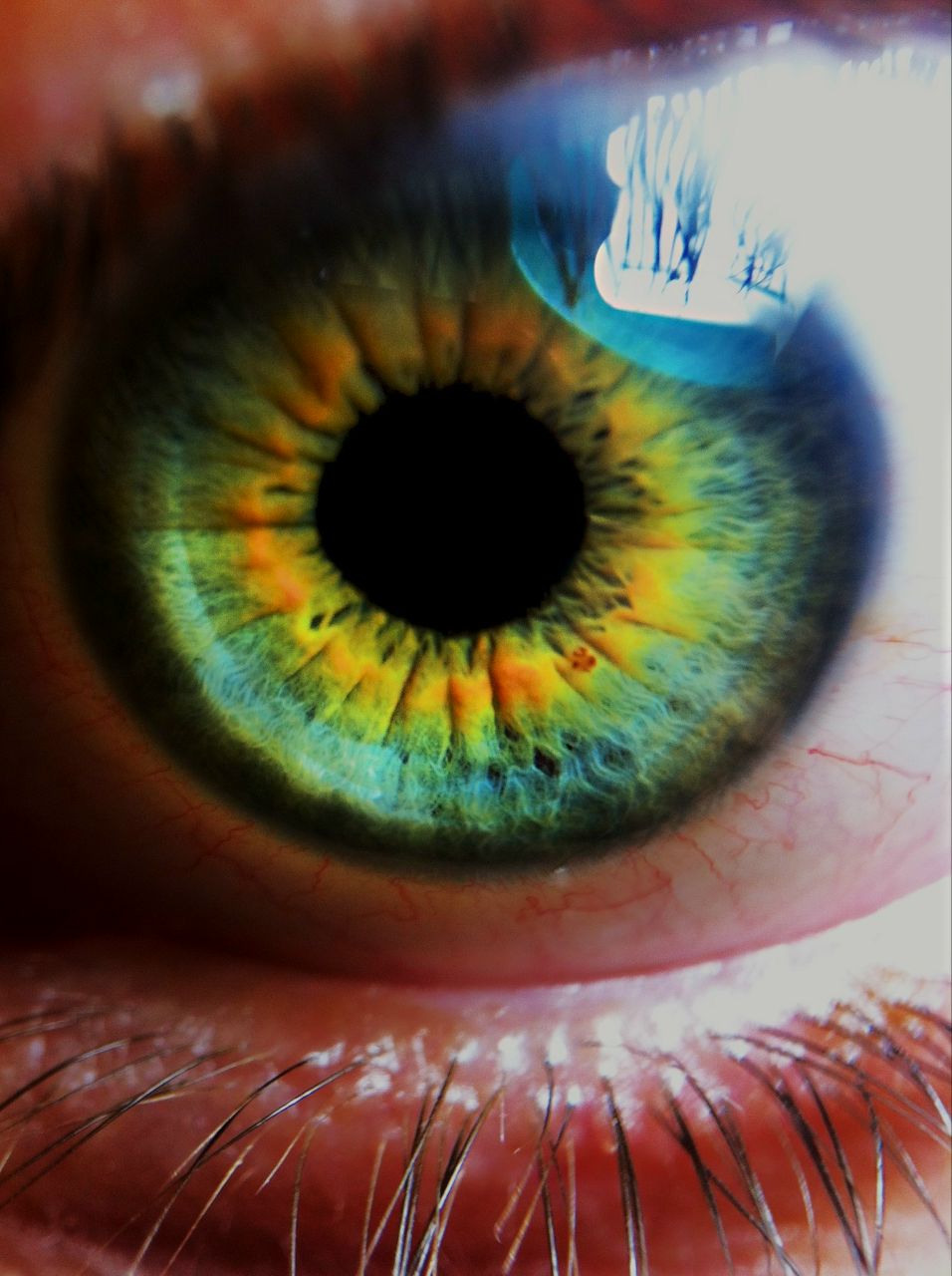 Sasha Tretyak | New York City