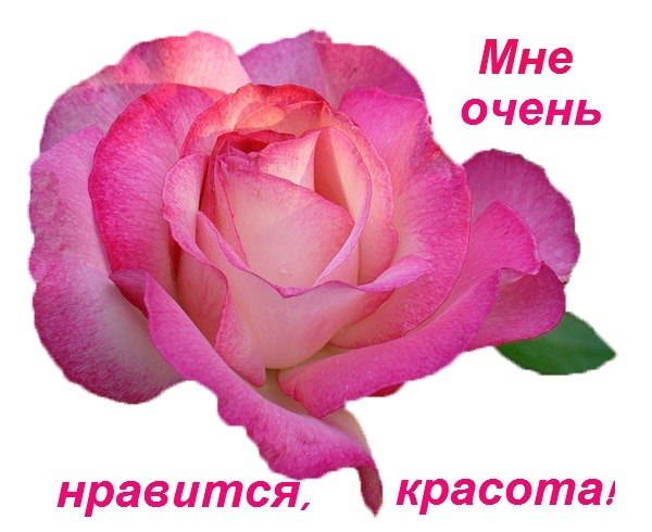 Светлана Васильченко | Керчь