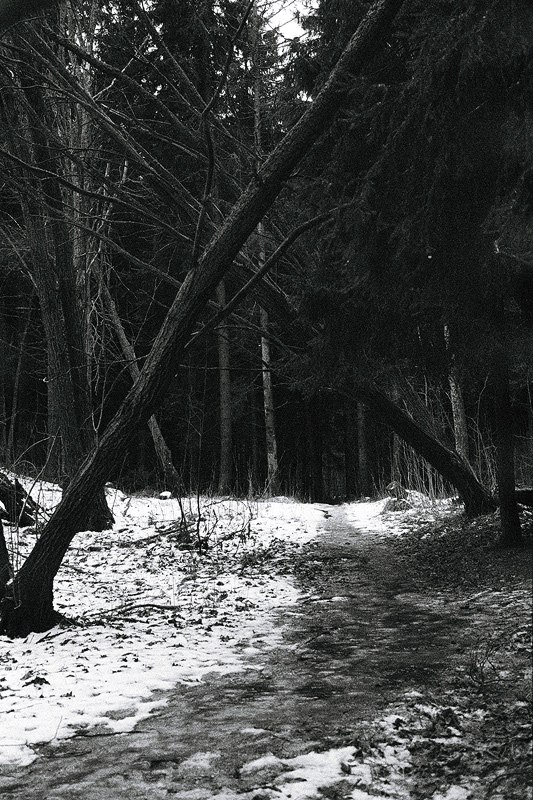 Артем Кривополенов | Архангельск