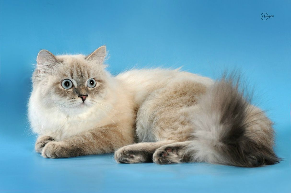 Виталий Зозуля | Мелитополь