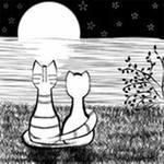 Александр Белогуб | Санкт-Петербург