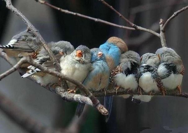 №8, Анна Паршина №8, Анна Паршина