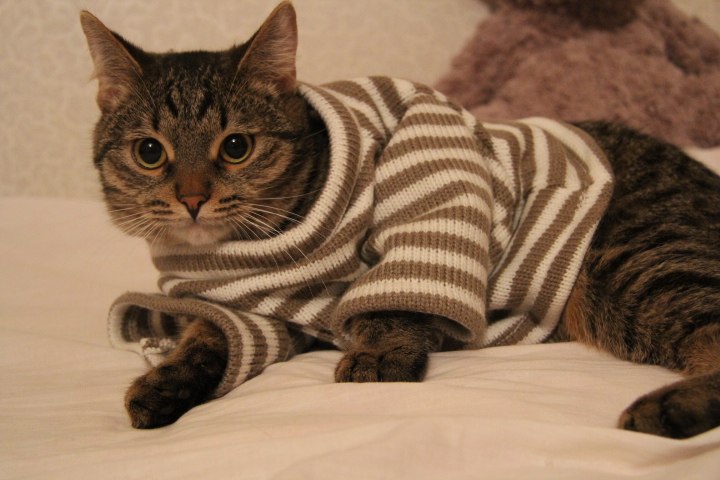 Венера Каштымова | Нижнекамск