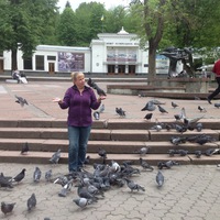 Елена Спицына