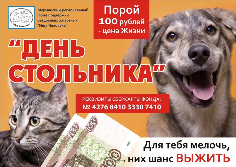 День стольника для животных картинки