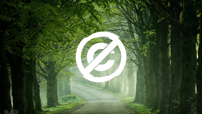 Rock Jason Shaw Yeah