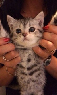 Елена Морозова