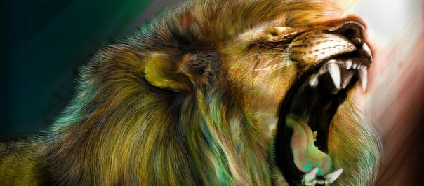 Anrry Lion, Россия, Москва
