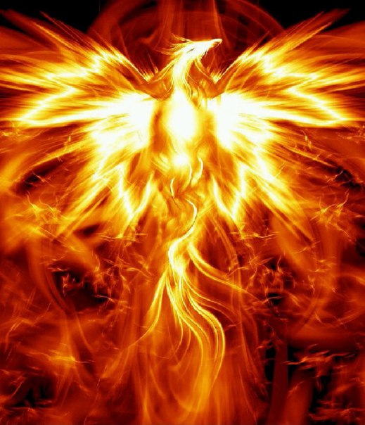 Роман Климмов