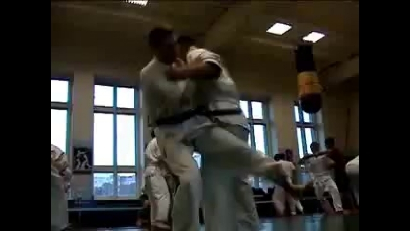 Каратэ Дайдо Джуку