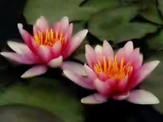 просто красивая мелодия)