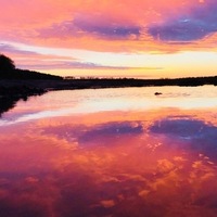 Макс Синица