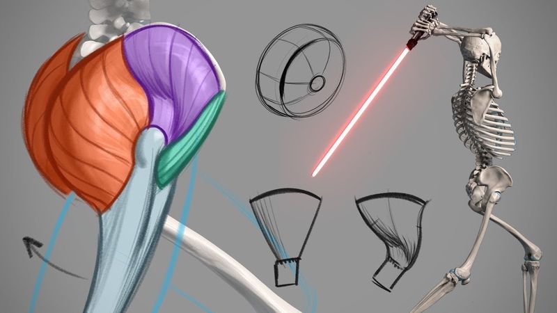 Inventing the Butt Muscles Ass ignment