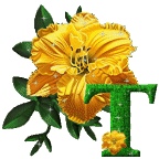 желтый цветок алфавит, image #19