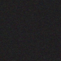 Лиза Родионова |