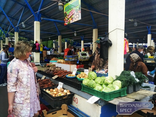 виртуальный брест блоггер