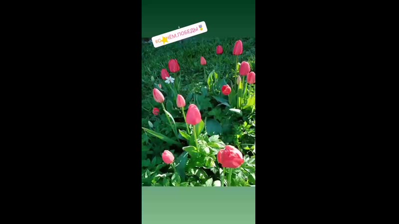 VID_24760318_093456_173.mp4