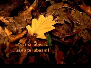 Les feuilles mortes Yves Montand subtitrat romn