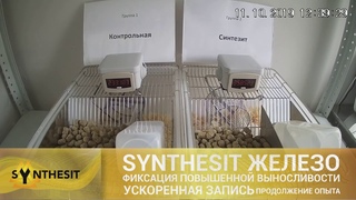 УСКОРЕННАЯ ЗАПИСЬ. SYNTHESIT ЖЕЛЕЗО и увеличенная выносливость. Достигнут значительный результат.