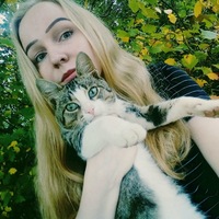Света Соловьёва