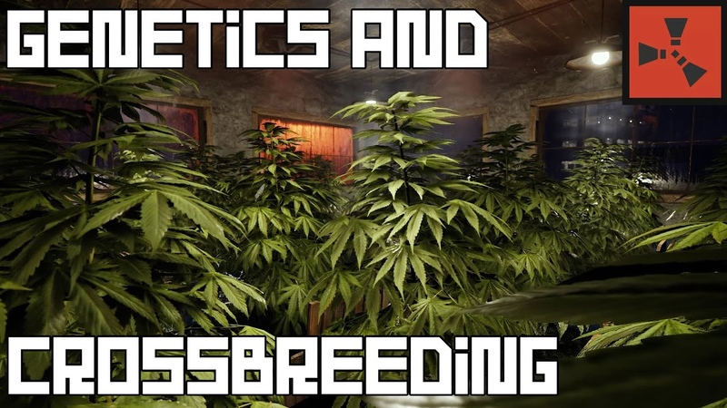 Comprehensive Genetics and Crossbreeding Guide The Path to Perfect