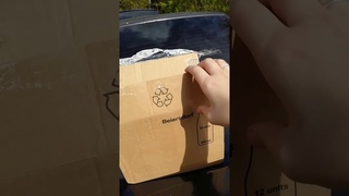 Подарок от Чибо, если вам попадется таракан в кофе)