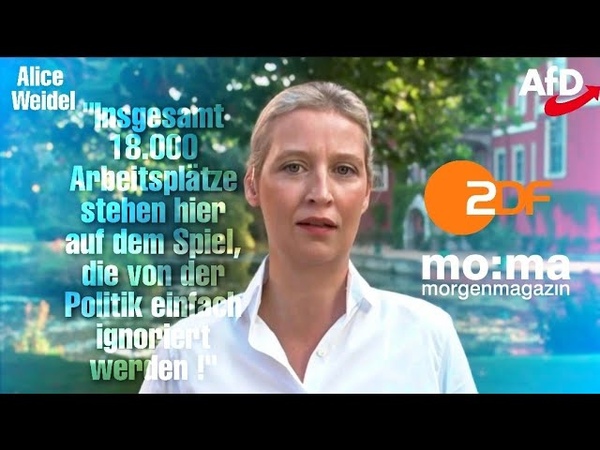 Alice Weidel ( Af D): Im Alleingang kommen wir Klimazielen nicht