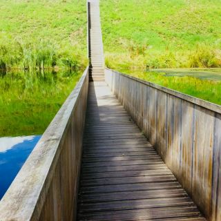 Каменный сводчатый мостик. Мост через воду. Растительность на мосту. Мост через воду. Фото на мостике у воды.