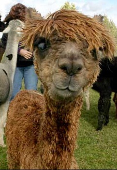 №160, Алексей Иванов, Москва №160, Алексей Иванов, Москва