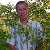 Владимир Карпов