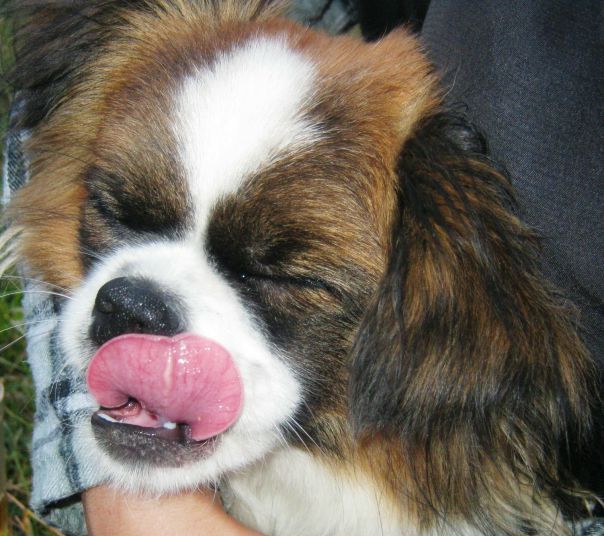 №125, Эльза Валиева, 35 лет, Уфа №125, Эльза Валиева, 35 лет, Уфа