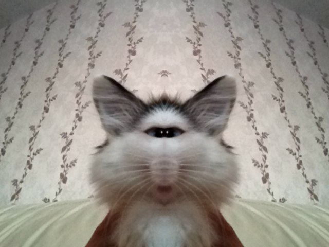 Алина Васильченко | Москва