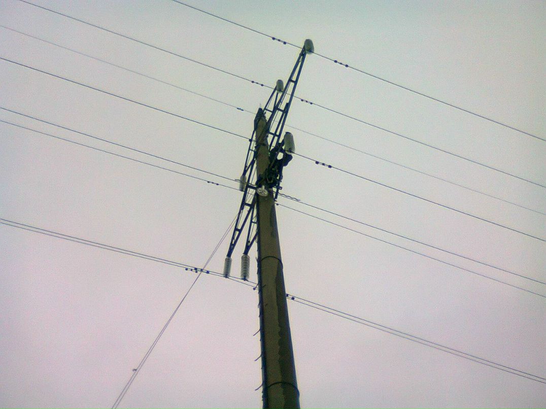 Виктор Граф | Кострома