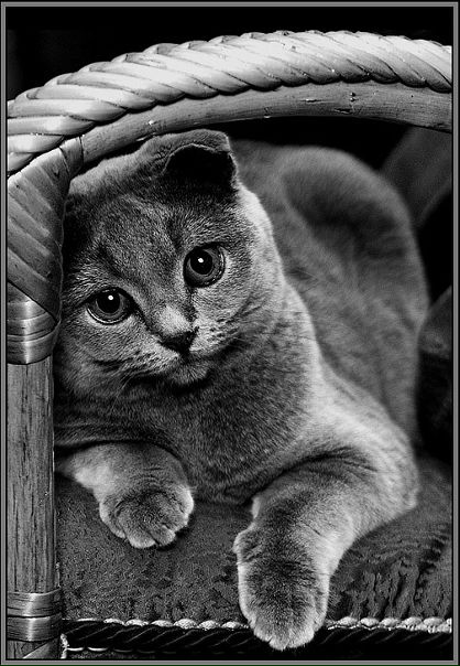 №20, Лена Пилюгина №20, Лена Пилюгина