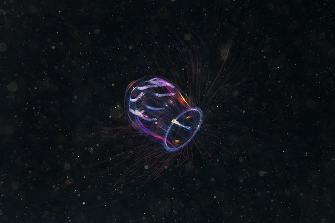 Александр Калягин | Москва