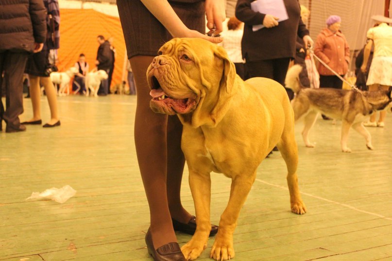 Лариса Головина | Петрозаводск