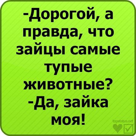 №44, Виктория Горбунова, 27 лет, Харьков №44, Виктория Горбунова, 27 лет, Харьков