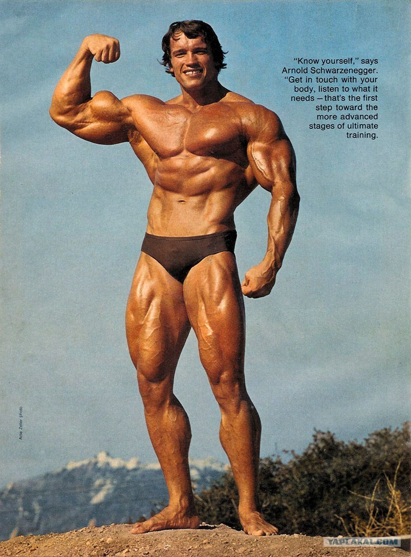 Арсен Гладич WAHIYS | 