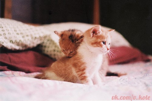 Наталия Быстрицкая | Москва