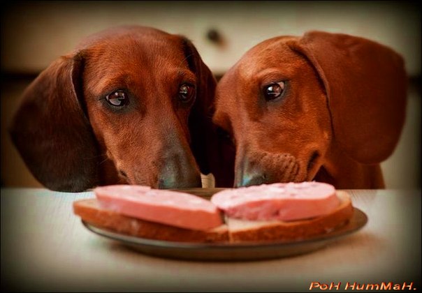 №89, Рон Нитман, Valletta №89, Рон Нитман, Valletta